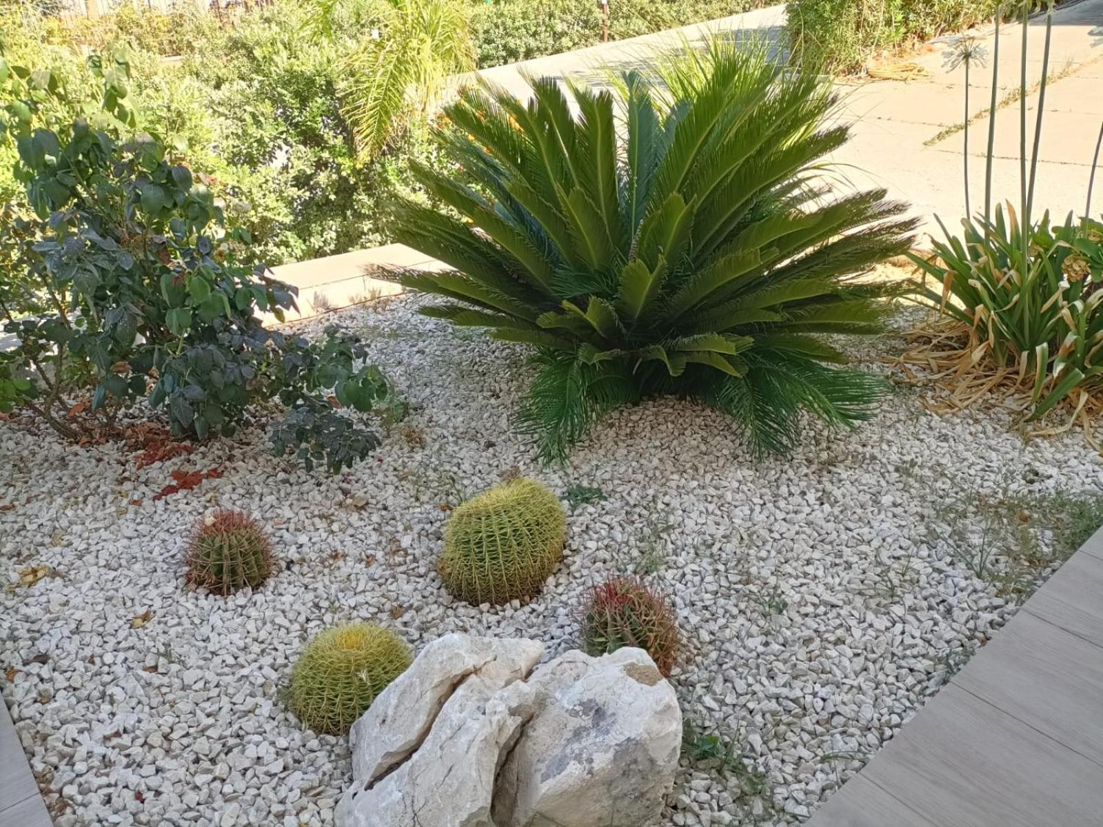 Villa Flo Castellammare del Golfo Exterior photo