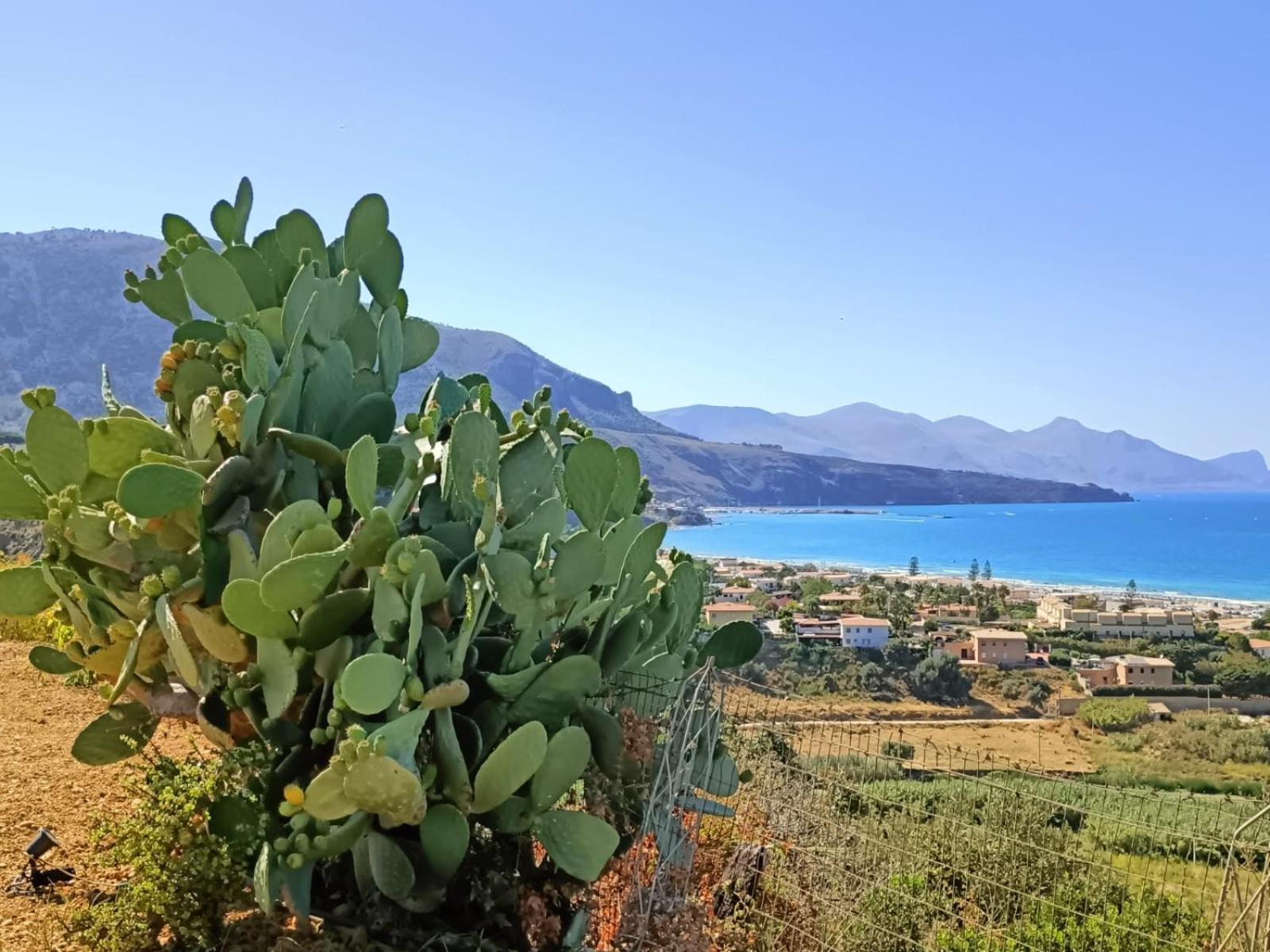 Villa Flo Castellammare del Golfo Exterior photo